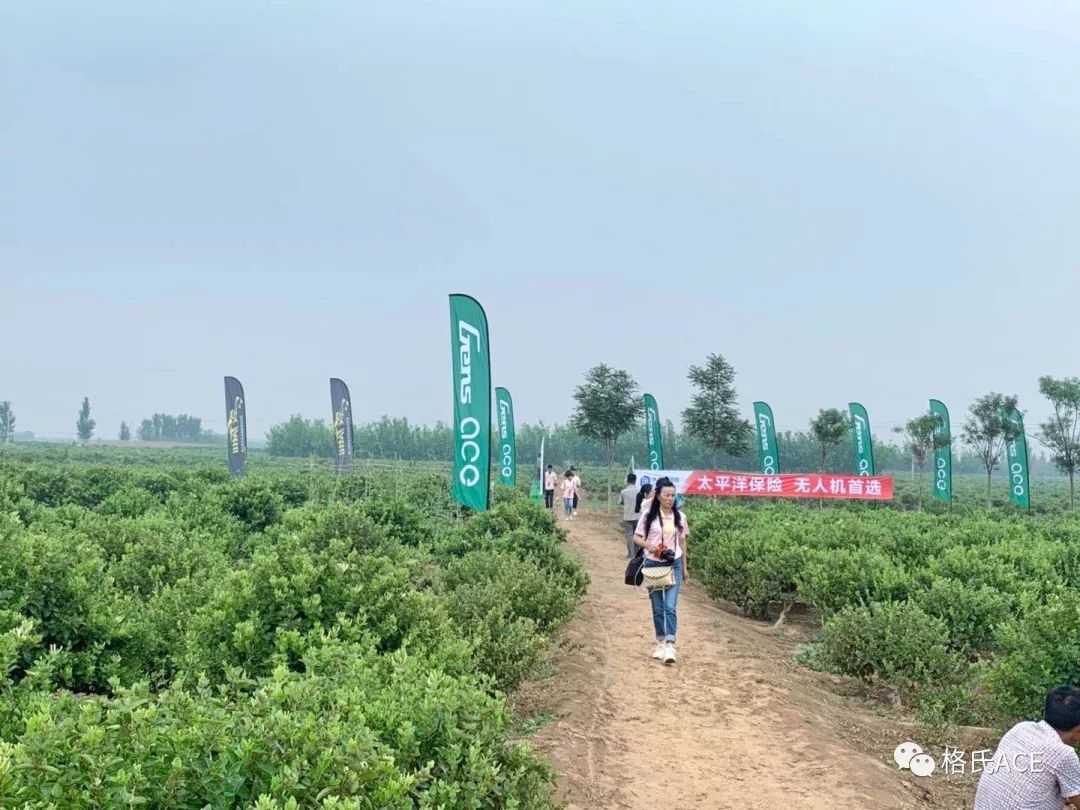 無人機(jī)比賽場(chǎng)地